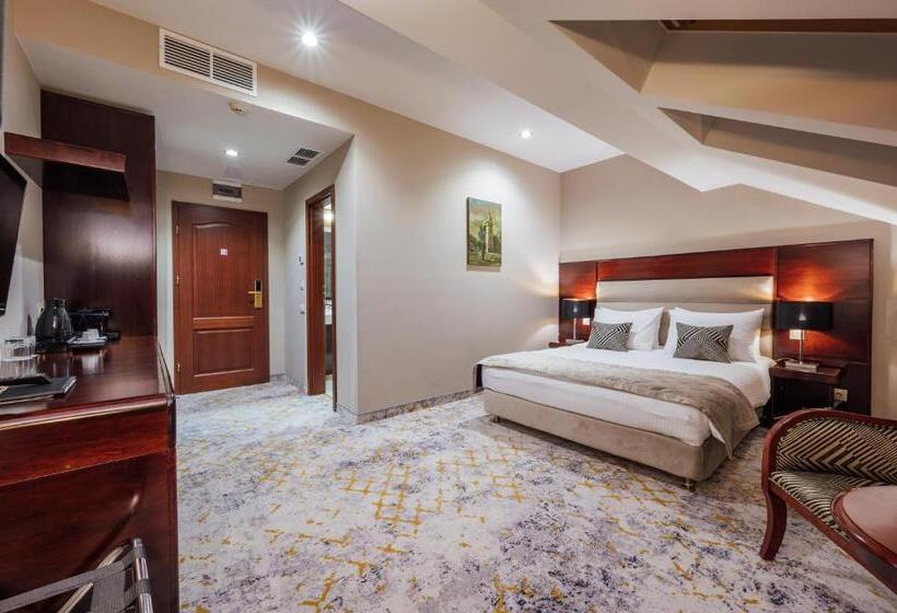 חדר סטנדרט יחיד, L`art Hotel Carei