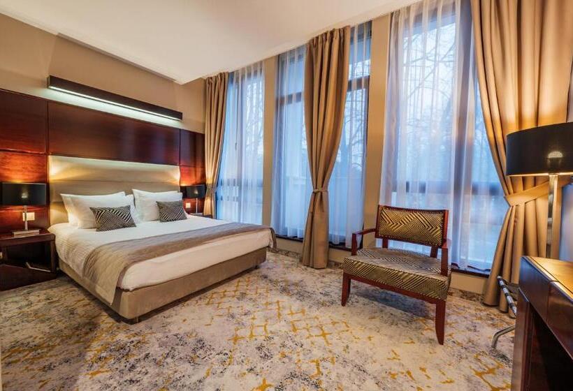 חדר סטנדרט יחיד, L`art Hotel Carei