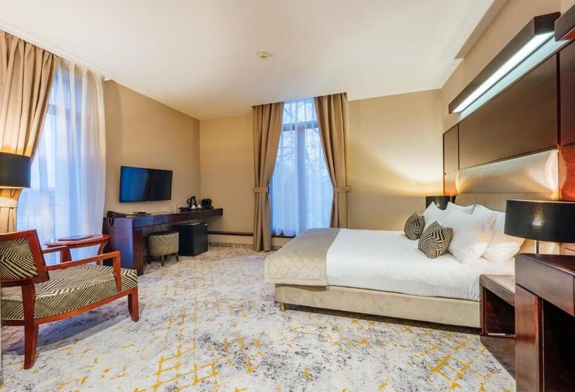 חדר סטנדרט, L`art Hotel Carei