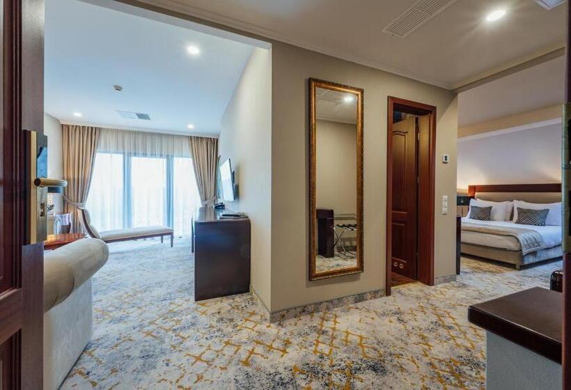 דירת חדר, L`art Hotel Carei