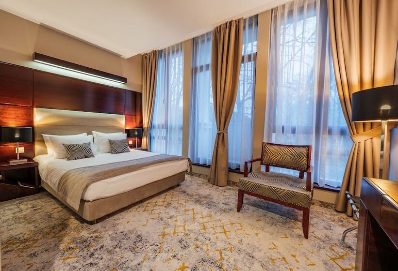 חדר סטנדרט יחיד, L`art Hotel Carei