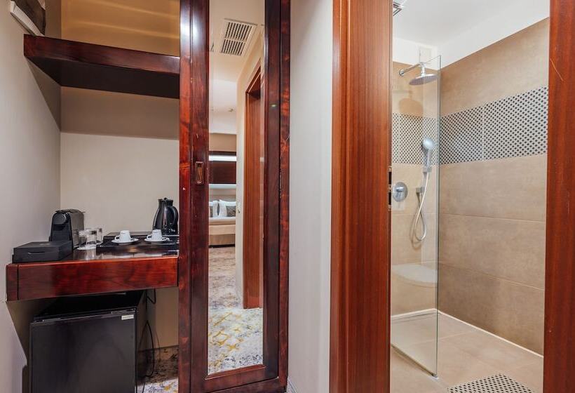 חדר סטנדרט, L`art Hotel Carei