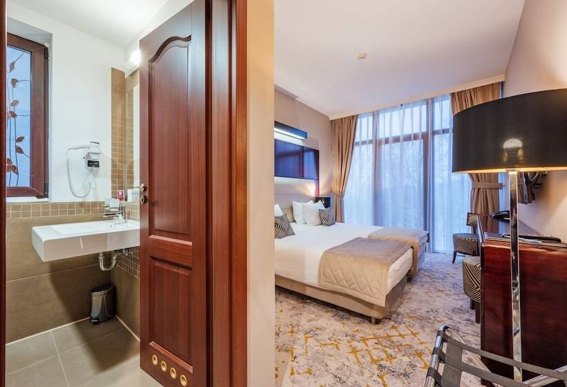 חדר סטנדרט, L`art Hotel Carei