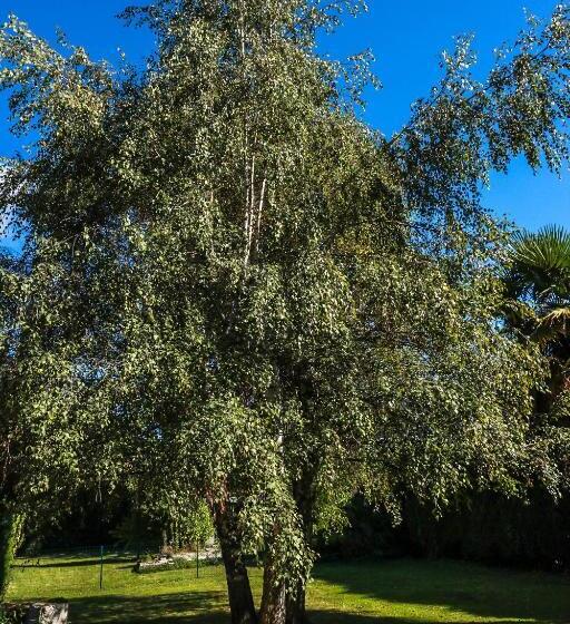 غرفة قياسية مطلة على الجبل, Le Domaine Des 3 Marmottes Chambres D Hôtes