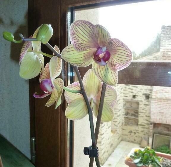 Номер Стандарт Вид на Сад, Le Moulin De Drapras