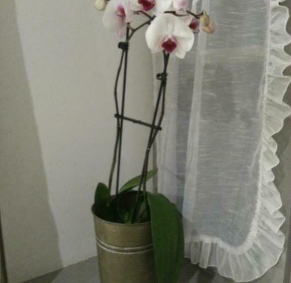 غرفة قياسية, Relais St Jacques   Roanne