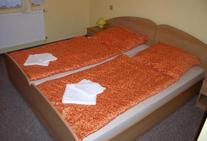 غرفة قياسية, Pension Všeruby