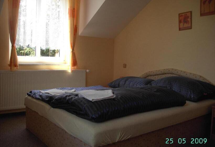 غرفة قياسية, Pension Všeruby