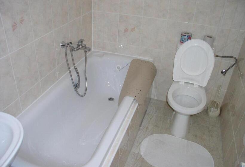 غرفة قياسية, Pension Všeruby