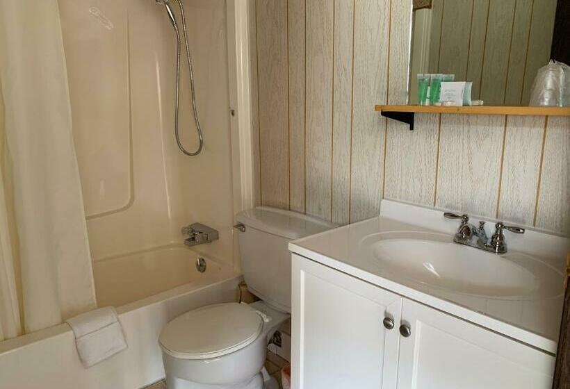 Standard Enkeltværelse, Green View Motel And Rv Park