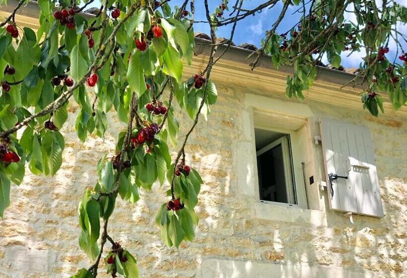 Номер Стандарт, Du Côté De L Ombrière