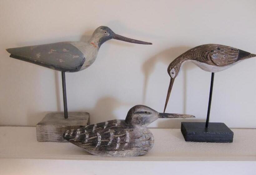 Номер Стандарт, Du Côté De L Ombrière