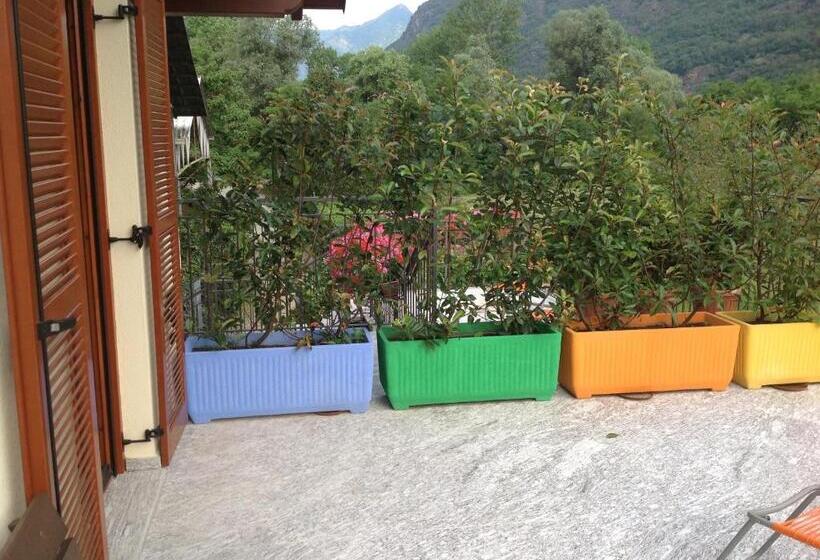 Номер Стандарт, Boscotenso