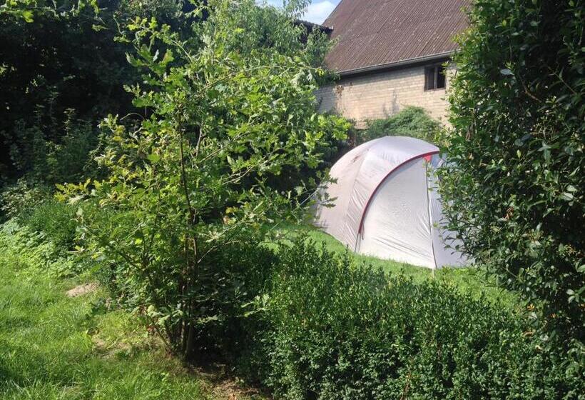 كوخ قياسي, Landhof Liebsch, Mit Pool Und Sauna