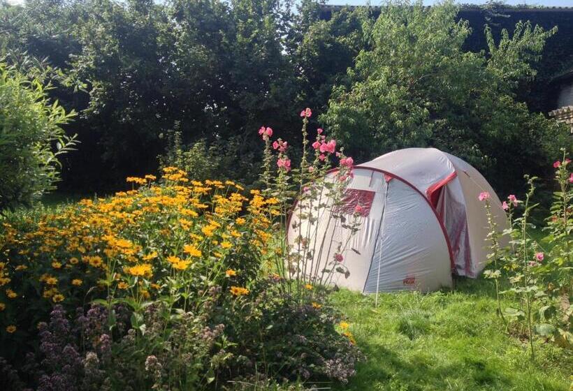 كوخ قياسي, Landhof Liebsch, Mit Pool Und Sauna