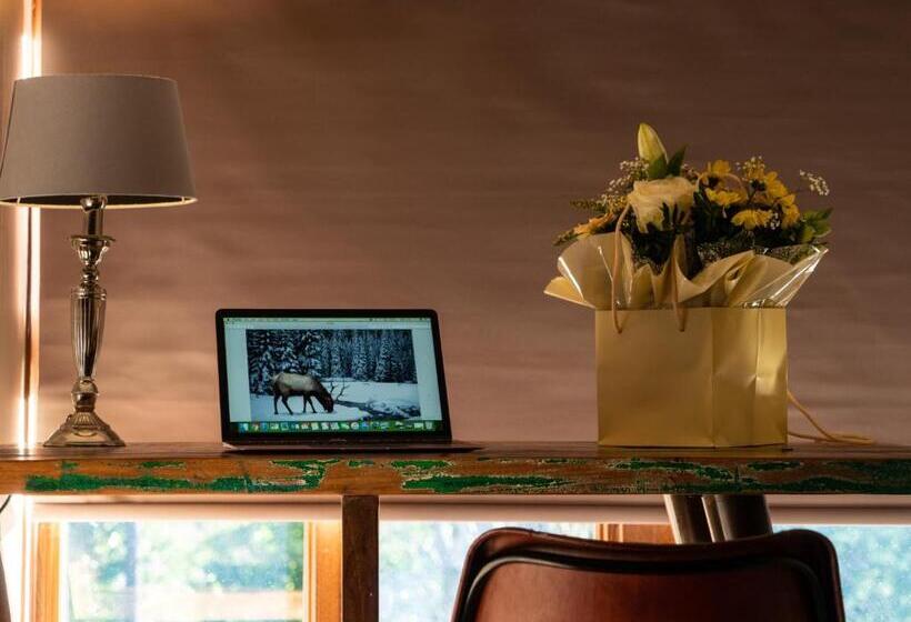 스탠다드 룸, The Lion Pub & Grill