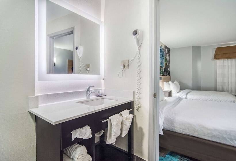 带2个双人床的标准工作室, Clarion Pointe Wake Forest   Raleigh North