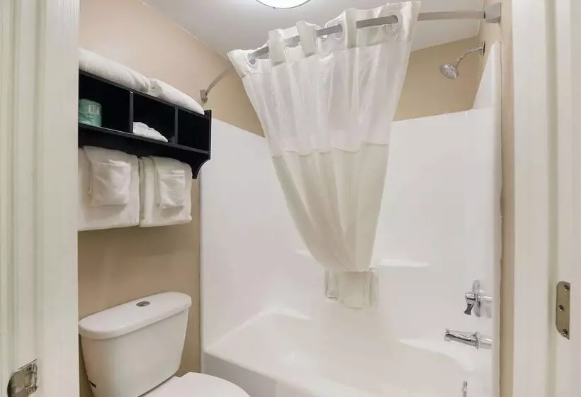 ２ダブルベッドのスタンダードルーム, Quality Inn Alcoa Knoxville