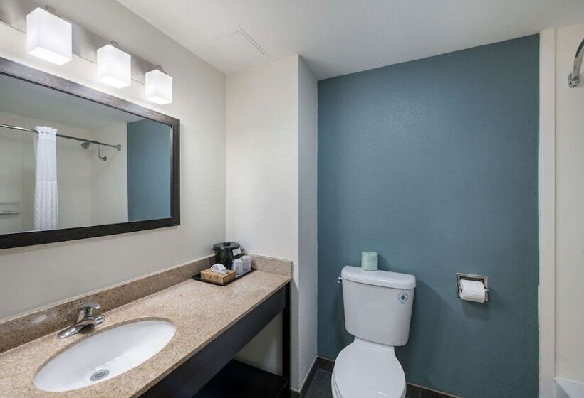 Номер Стандарт 2 Двуспальные Кровати, Sleep Inn & Suites Chesapeake Portsmouth