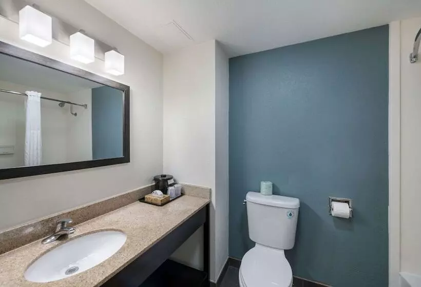 ２ダブルベッドのスタンダードルーム, Sleep Inn & Suites Chesapeake   Portsmouth