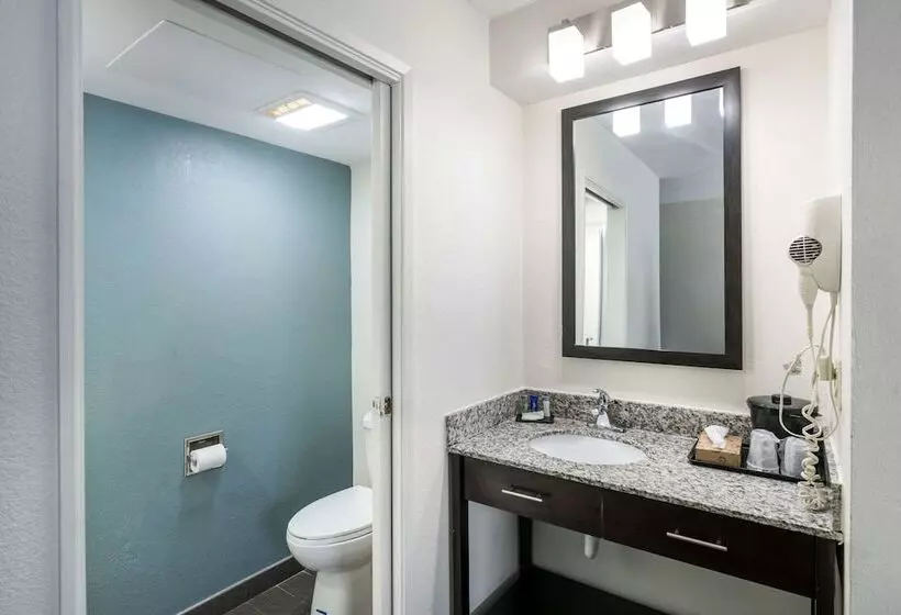 ２ダブルベッドのスタンダードルーム, Sleep Inn & Suites Chesapeake   Portsmouth