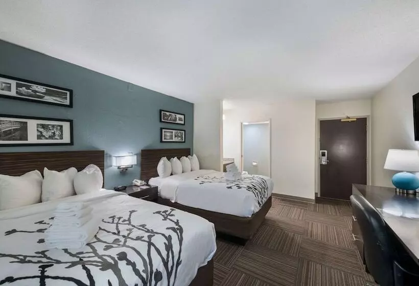 ２ダブルベッドのスタンダードルーム, Sleep Inn & Suites Chesapeake   Portsmouth