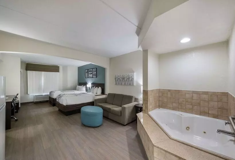 スイート, Sleep Inn & Suites Chesapeake   Portsmouth