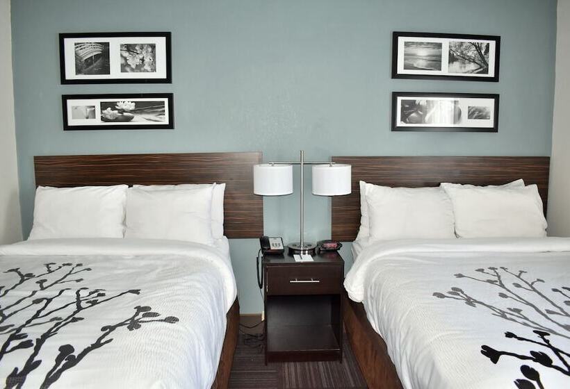 Люкс, Sleep Inn & Suites Chesapeake Portsmouth