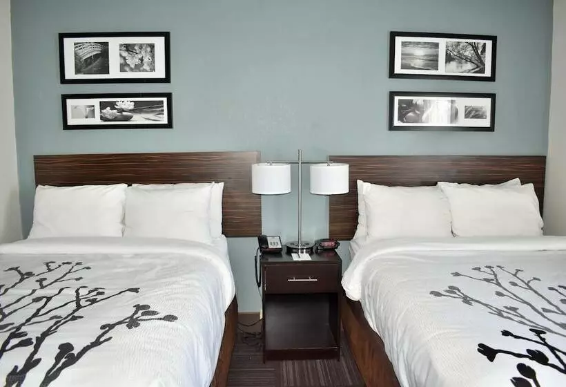スイート, Sleep Inn & Suites Chesapeake   Portsmouth
