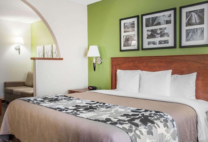 סוויטה מותאמת לאדם עם מוגבלויות, Sleep Inn & Suites Conference Center And Water Park