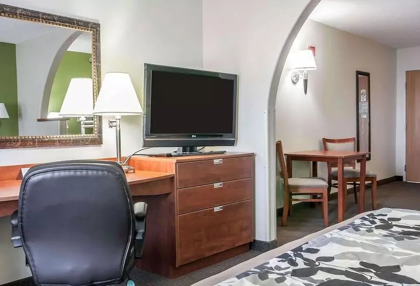スイート, Sleep Inn & Suites Conference Center And Water Park