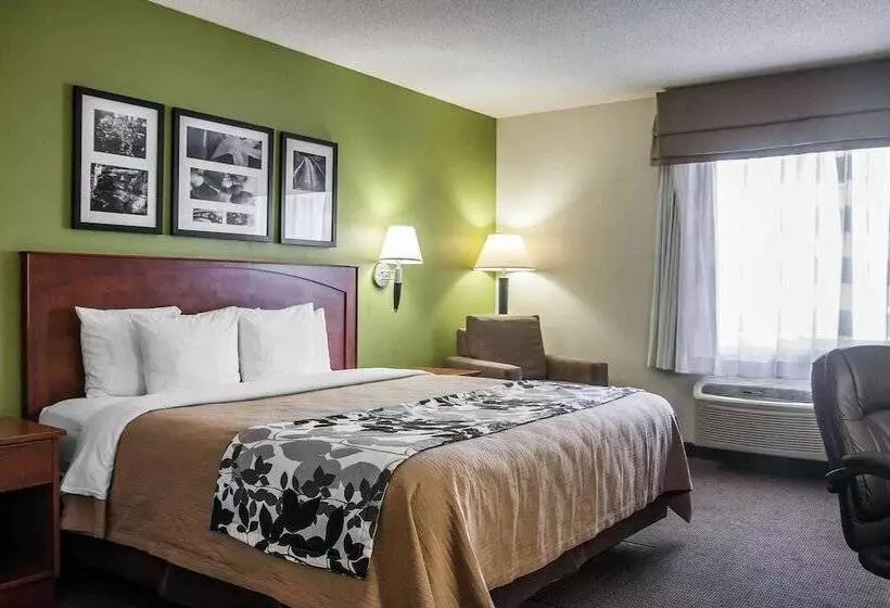 スイート, Sleep Inn & Suites Conference Center And Water Park