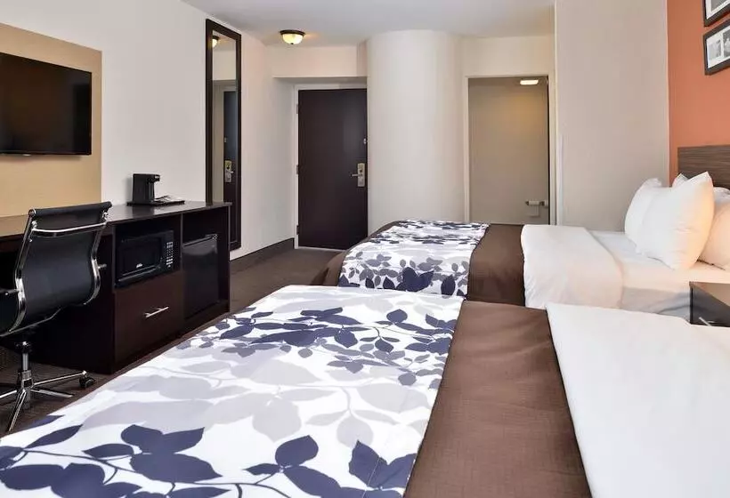 ２ダブルベッドのスタンダードルーム, Sleep Inn