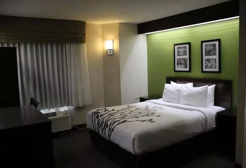 スタンダードルーム, Sleep Inn Near Great Lakes Naval Base