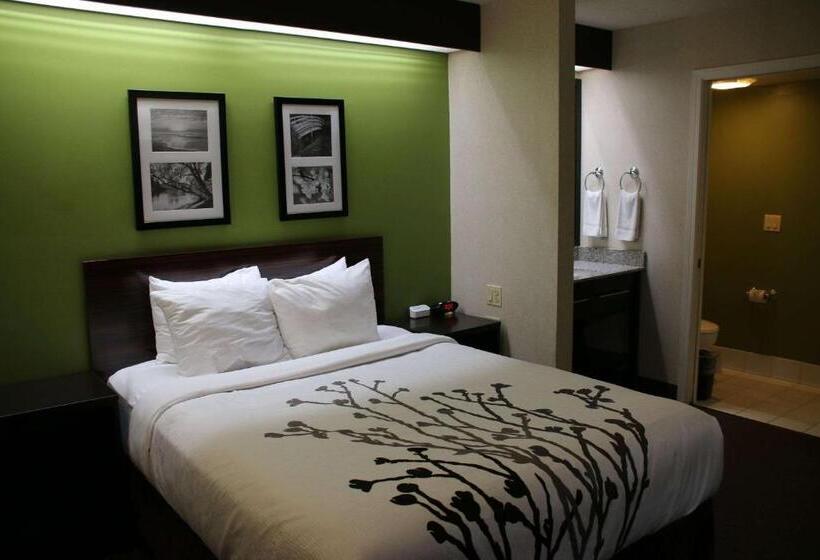غرفة قياسية, Sleep Inn Near Great Lakes Naval Base