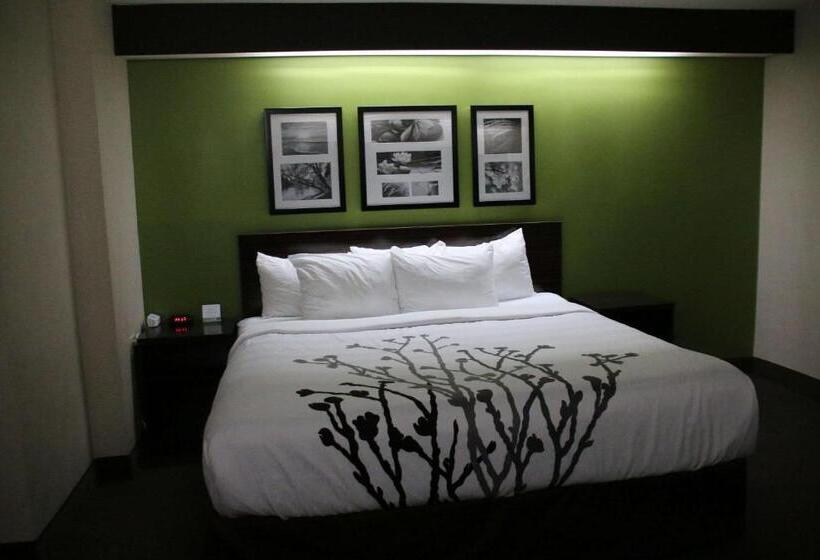 장애인을 위한 스탠다드 룸, Sleep Inn Near Great Lakes Naval Base