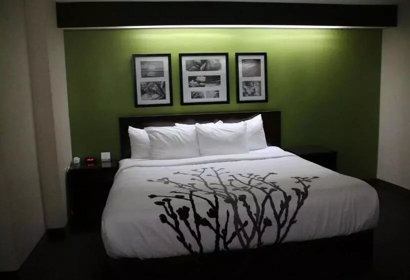 身障者適用スタンダードルーム, Sleep Inn Near Great Lakes Naval Base