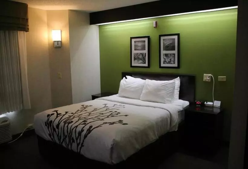 身障者適用スタンダードルーム, Sleep Inn Near Great Lakes Naval Base