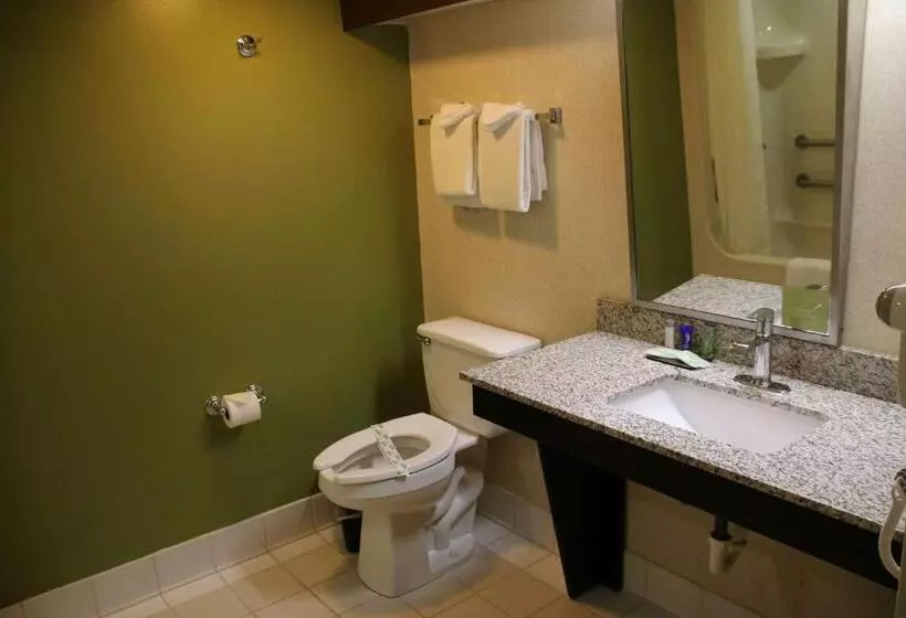 身障者適用スタンダードルーム, Sleep Inn Near Great Lakes Naval Base