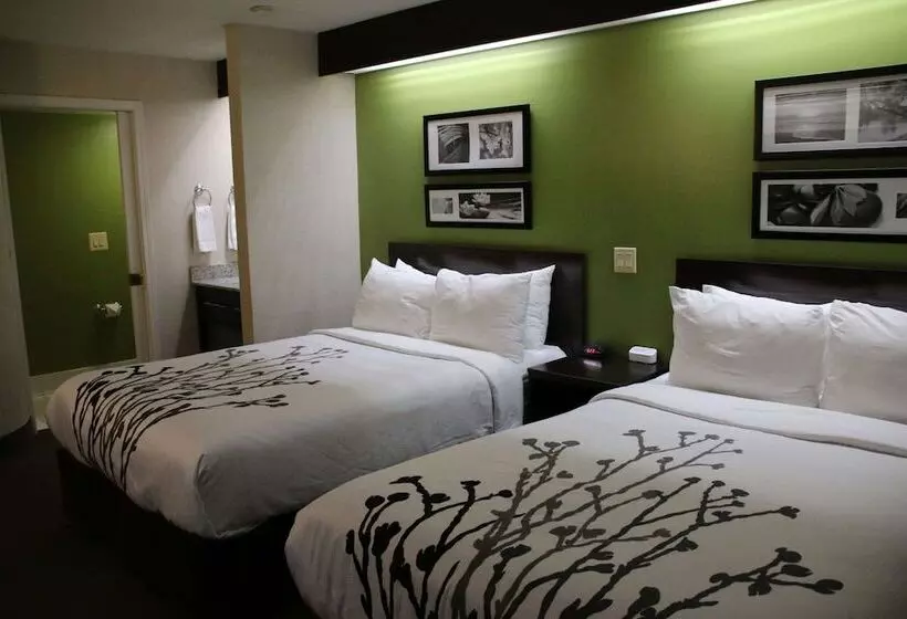 ２ダブルベッドのスタンダードルーム, Sleep Inn Near Great Lakes Naval Base