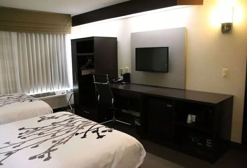 ２ダブルベッドのスタンダードルーム, Sleep Inn Near Great Lakes Naval Base