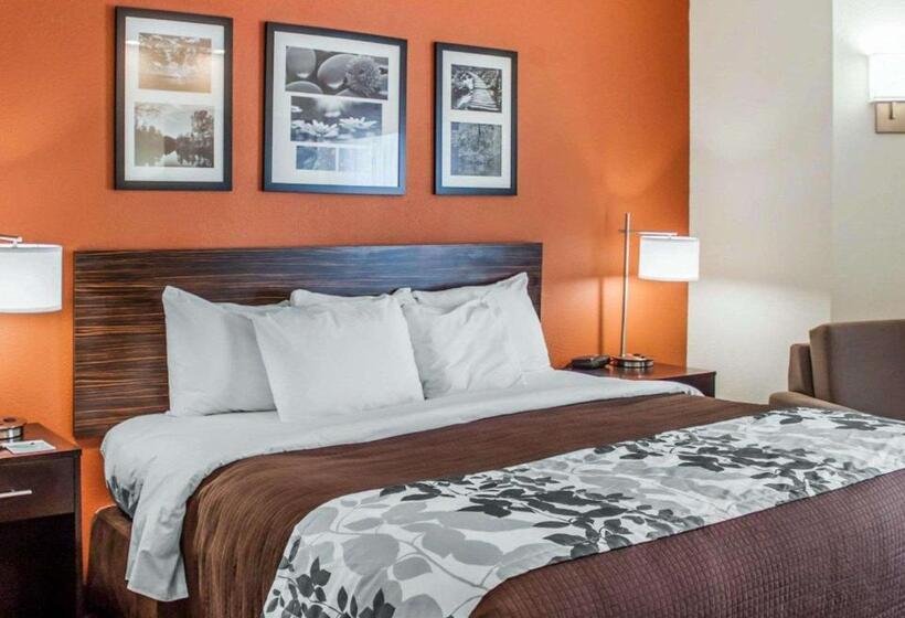 Номер Стандарт Адаптированный для Инвалидов, Sleep Inn North Charleston Ashley Phosphate