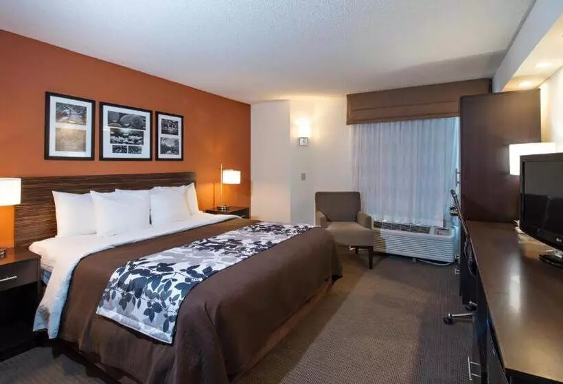 Standard-huone King-vuode, Sleep Inn North Charleston Ashley Phosphate