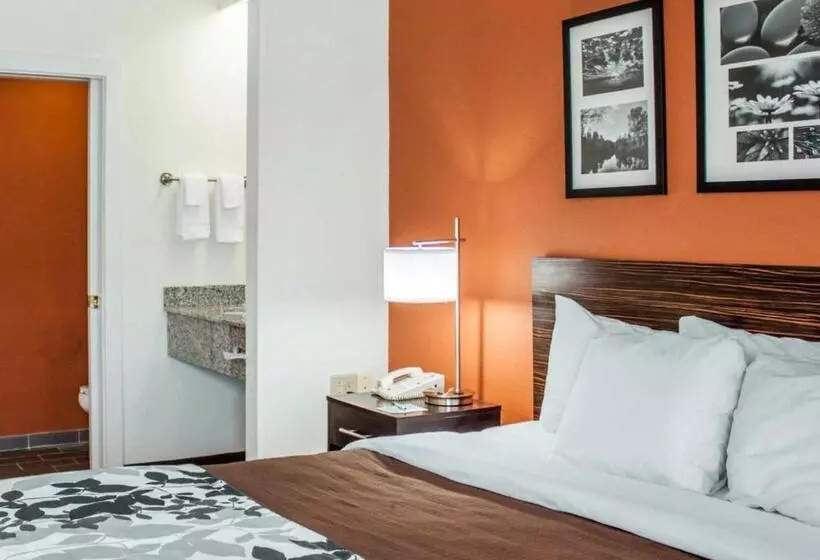 Standard-huone King-vuode, Sleep Inn North Charleston Ashley Phosphate