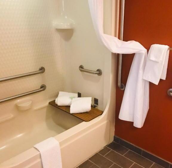 Номер Стандарт Адаптированный для Инвалидов, Sleep Inn North Charleston Ashley Phosphate