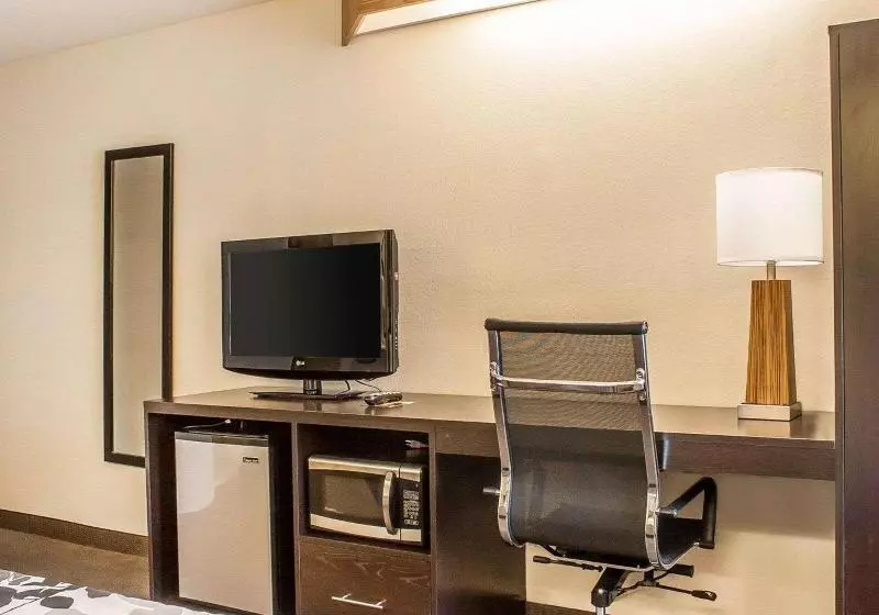 キングサイズベッドのスイートルーム, Sleep Inn Sea Tac Airport
