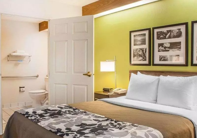 キングサイズベッドのスタンダードルーム, Sleep Inn Sea Tac Airport