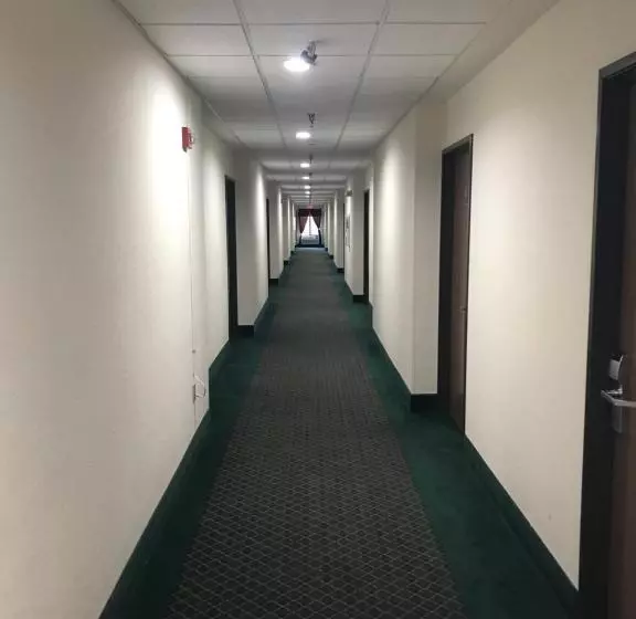 スタンダードルーム, Americas Best Value Inn Pinckneyville