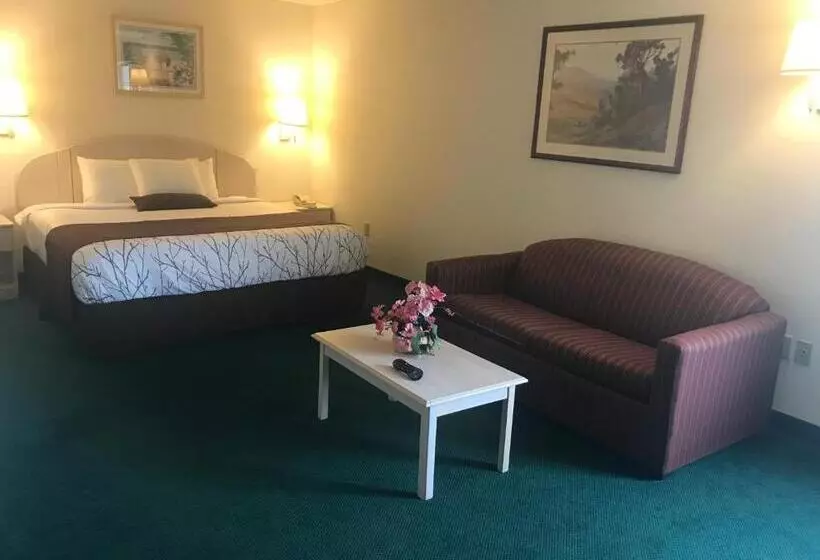 キングサイズベッドのスイートルーム, Americas Best Value Inn Pinckneyville