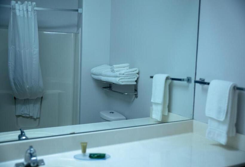 Suite King Size Bed, Clarion Pointe Indianapolis Airport